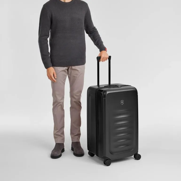 Spectra 3.0 Trunk Large Case