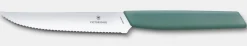 Swiss Modern Steakmesser
